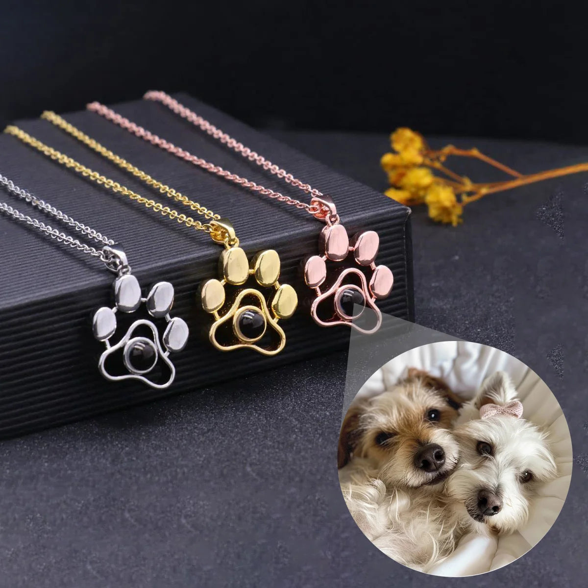 Collar Patita del Alma | TuHuellaViva®